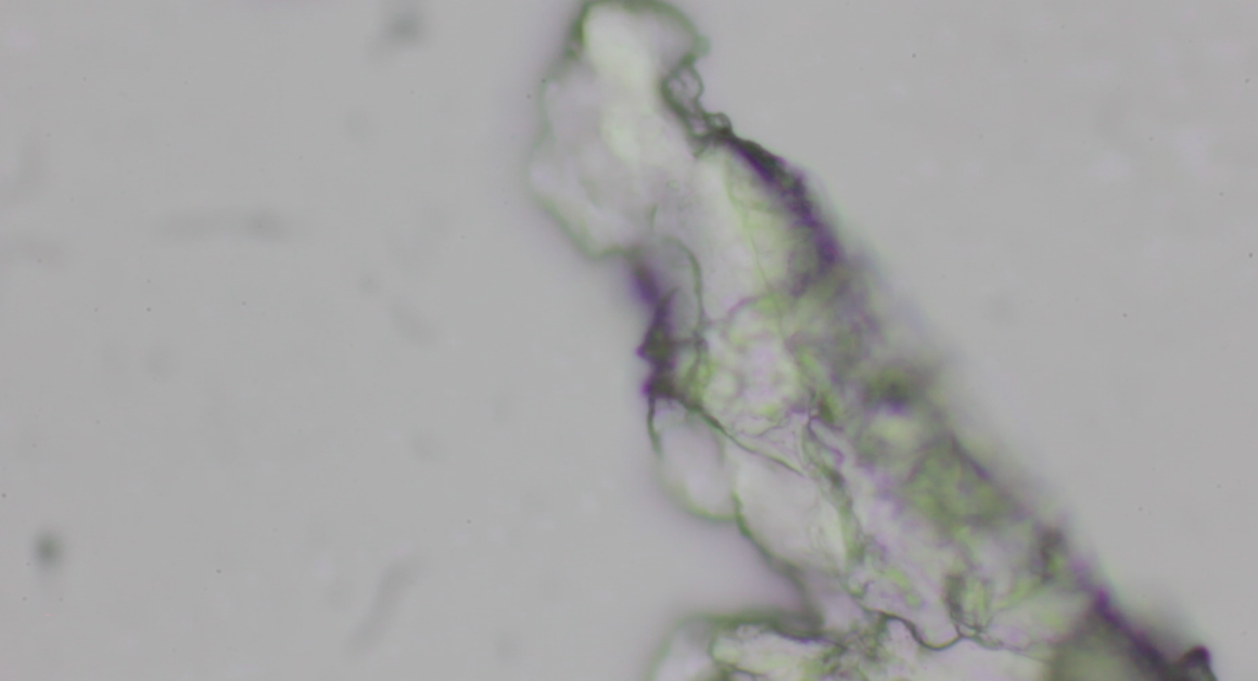 Microscopic view of a raindrop sample. The image background is pale white. On the right side, there is an irregular-shaped pattern
          with shades of fluo green.